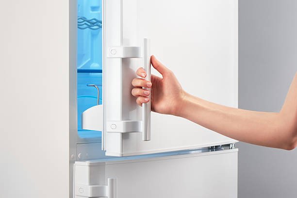 MOLD CAN FORM IN A FREEZER