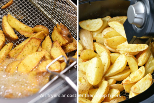 Air-fryers-ar-costlier-then-deep-fryers-1 Disadvantages Of Air Fryers | Do you Know About It