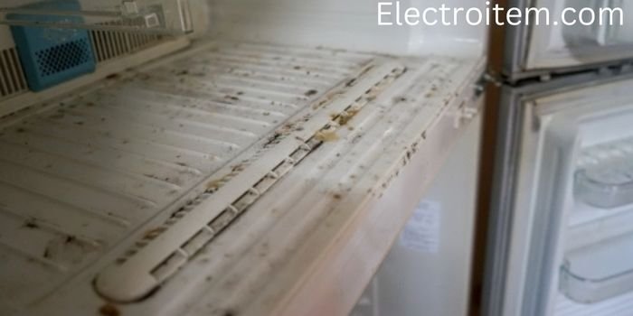 jpg_20221124_091329_0000 Can Black Mold Form In A Freezer?