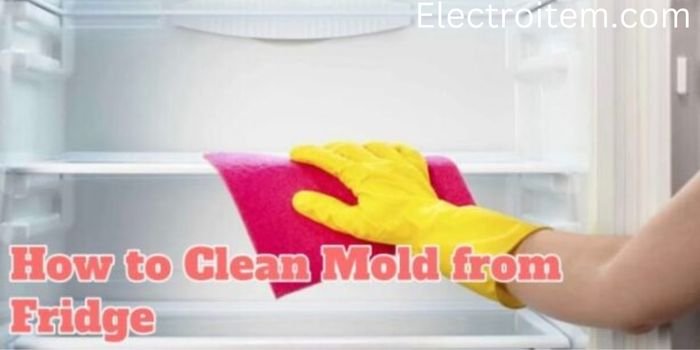 jpg_20221124_091936_0000 Can Black Mold Form In A Freezer?
