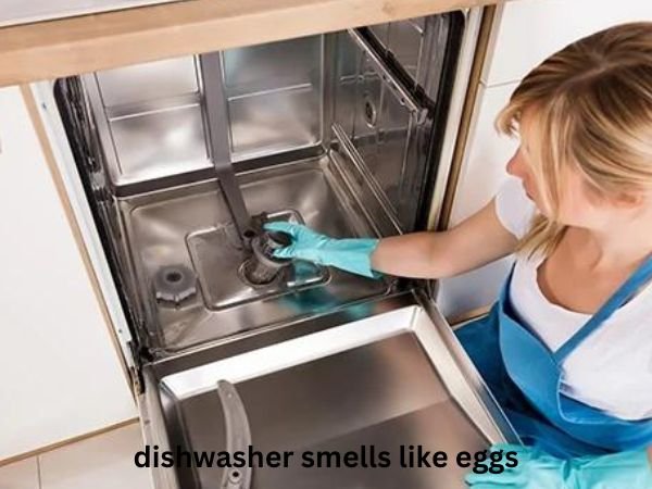 dishwasher-smells-like-eggs-2 Why Does My Dishwasher Smell Like Eggs?