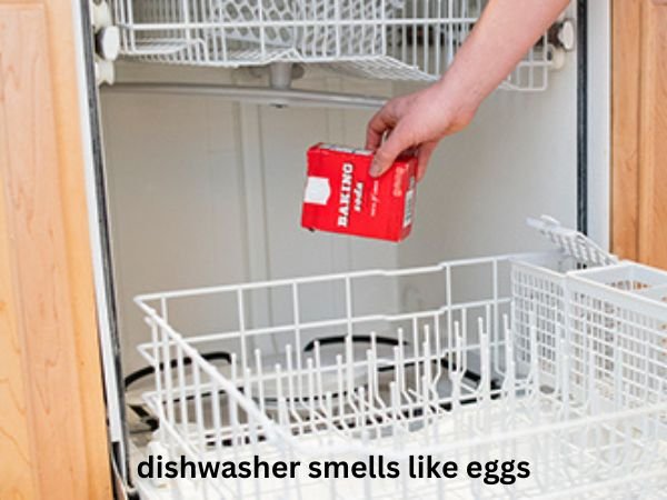 dishwasher-smells-like-eggs-4 Why Does My Dishwasher Smell Like Eggs?