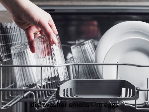 dishwasher-smells-like-eggs Why Does My Dishwasher Smell Like Eggs?