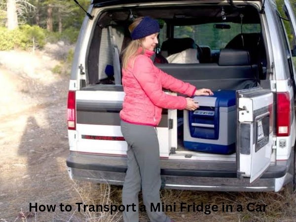 20230325_222357_0000 How to Transport a Mini Fridge in a Car?