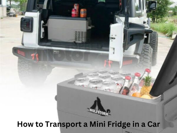 jpg_20230325_222206_0000 How to Transport a Mini Fridge in a Car?
