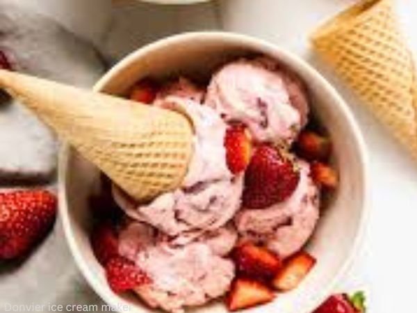 jpg_20230331_050229_0000 Donvier Ice Cream Maker || Best Donvier Ice Cream Maker Recipes (2023)